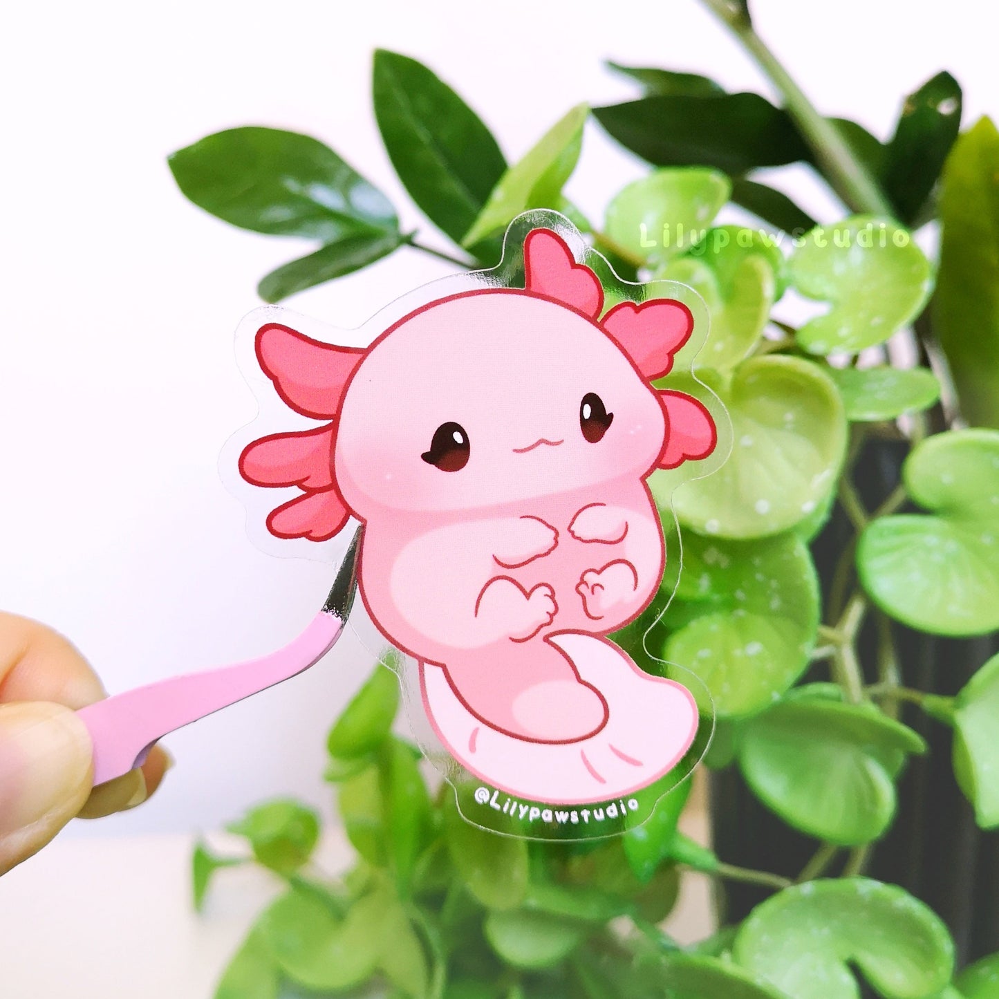 Axolotl Mochimal-Transparent Vinyl Sticker