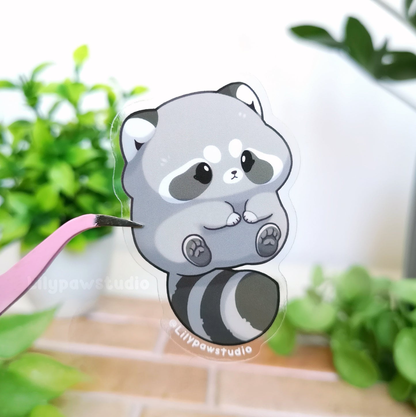 Raccoon Mochimal-Transparent Vinyl Sticker