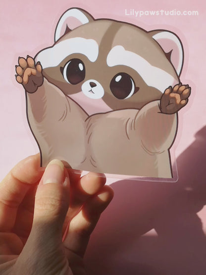 Baby Raccoon Peeker - Transparent Vinyl Sticker